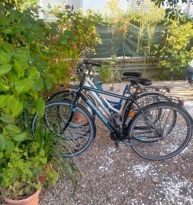 Just Outside The Wall: Free A/C, Bikes And Wifi Лукка Экстерьер фото